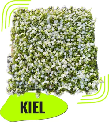 Produktbild von GeckoWall "KIEL" | Premium Blüten weiß Pflanzenwand | Gastronomie Blumenwand Wandverkleidung | weiße Kunstpflanzen Wandmontage |Wandpaneele künstlich