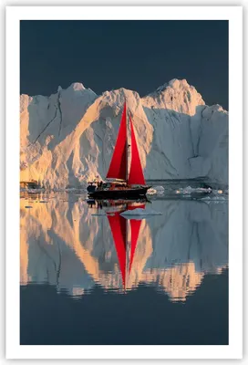 Produktbild von Poster - Poster ohne Rahmen - Gletscher Ozean Grönland - 61x91,5 cm - Wand Bild - Wanddeko - Wandbilder - Kunstposter - Wandposter - Bilder - Kunstdruck - Wanddekoration - Wandbild - P2XPA61x91-4996