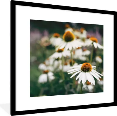 Produktbild von MuchoWow® Gerahmtes Poster Blumen - Herbst - Botanisch 40x40 cm - Poster mit Schwarzem Bilderrahmen Wandposter Rahmen Foto Bilder - Poster - Plakat im Rahmen