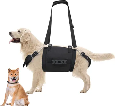 Produktbild von Hundegeschirr für mittelgroße Hunde mit Kontrollgriff
