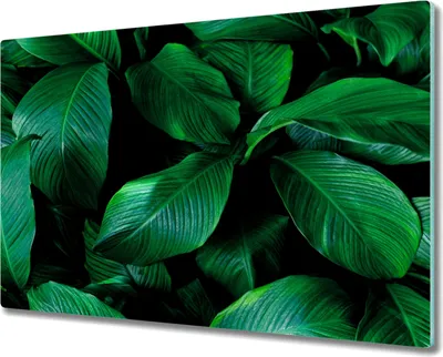 Produktbild von Coloray Hackbrett Küchenbrett Kochplattenabdeckung Schneidebrett Herdabdeckplatte 80x52 cm - Blumen-Blätter der Pflanze