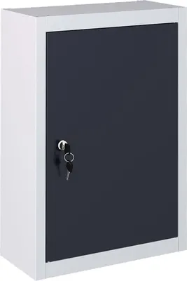 Produktbild von Wand-Werkzeugschrank Industriedesign Metall Grau und Schwarz