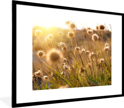 Produktbild von MuchoWow® Gerahmtes Poster Pflanzen - Natur - Blumen - Sonne - Horizont 80x60 cm - Poster mit Schwarzem Bilderrahmen Wandposter Rahmen Foto Bilder - Schlafzimmer-Dekorationen - Fotoposter