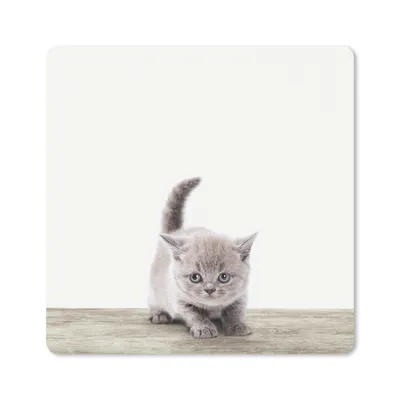 Produktbild von MuchoWow® Mauspad Mousepad Kätzchen - Katze - Haustiere - Jungen - Kinder - Mädchen 30x30 cm - Mousepads - Maus Mat - Pad - Mausunterlage - Gaming
