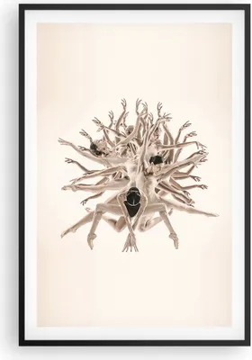 Produktbild von Gerahmtes Poster - Schwarzer Rahmen - Modern Stück Ballett - 61x91,5 cm - Wand Bild - Wanddeko - Wandbilder - Kunstposter - Wandposter - Bilderrahmen - Bilder - Kunstdruck - P2BPA61x91-4636