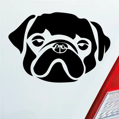 Produktbild von Auto Aufkleber süsser Mops Hund Dog Tier niedlich Puppy Kopf 13x9 cm Schwarz Matt Sticker Heckscheibenaufkleber
