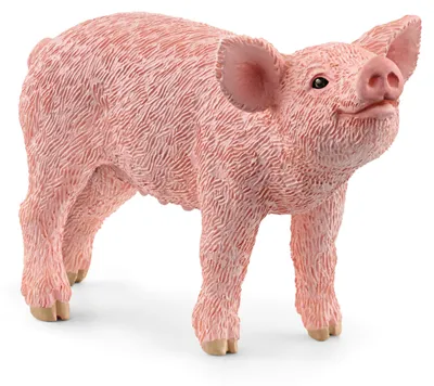 Immagine prodotto di Schleich WIP 13934 in Multicolored color size Talla unica