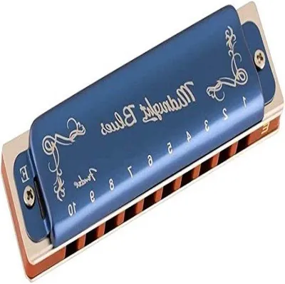 Immagine prodotto di Armonica diatonica blu, accordatura in Mi, 10 fori