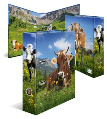 Zdjęcie produktu dla HERMA 20140, A4, Przechowywanie, Karton, Wielobarwny, 7 cm, 1 szt.