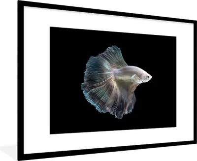 Produktbild von MuchoWow® Gerahmtes Poster Fisch - Schwanz - Weiß 90x60 cm - Poster mit Schwarzem Bilderrahmen Wandposter Rahmen Foto Bilder - Wanddekoration - Fotos