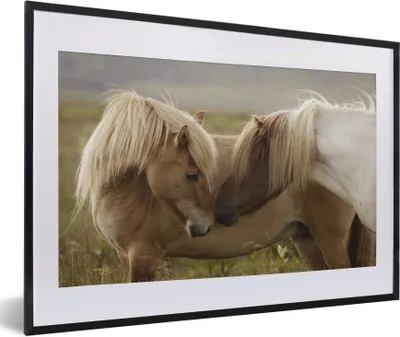 Produktbild von MuchoWow® Gerahmtes Poster Pferde - Gras - Braun 60x40 cm - Poster mit Schwarzem Bilderrahmen Wandposter Rahmen Foto Bilder - Schlafzimmer - Plakat in Rahmen - Drucken