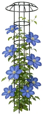 Image de Supports résistants aux intempéries pour plantes grimpantes dans le jardin