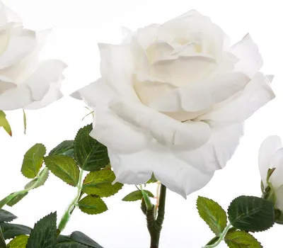 Produktbild von Kunstpflanze im Topf STRAUCHROSE, 74 cm, rot