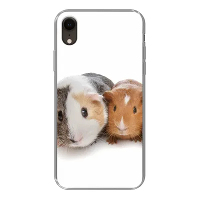 Produktbild von MuchoWow® Handyhülle Schutzhülle Hülle für iPhone XR Fünf Meerschweinchen Silikon Softcase Handy Hülle - Schutzdeckel