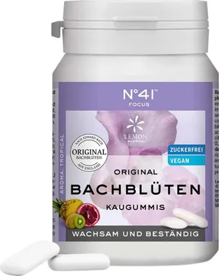 Produktbild von Konzentration Kaugummi nach Dr. Bach 40 St