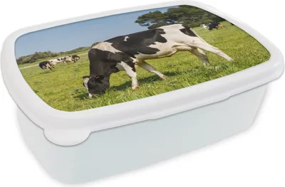 Obrázok produktu pre KitchenYeah® Obedový box Obedový box 17x11 cm Krava - tráva - zvieratá - les Detský box na desiatu - obedový box - deti - sendvičový box - školský box - obedové boxy