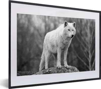Produktbild von MuchoWow® MuchoWow® Gerahmtes Poster Wolf auf einem Stein - schwarz und weiß 40x30 cm - Poster mit zchwarzem Bilderrahmen - Bilderrahmen - Poster im Rahmen