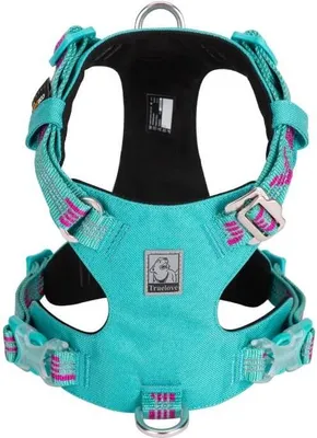 Produktbild von BLAU Adventure Dog TRUELOVE XXS Hundegeschirr