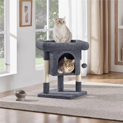 Two cats on a cat tree in a room with windows and curtains.