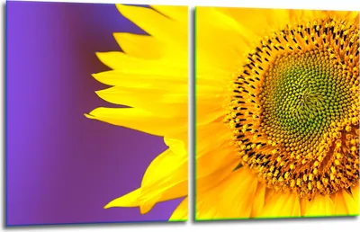 Produktbild von Herdabdeckplatten 2x40x52 Glaskeramikkochfeld 2-Teilig Glas Spritzschutz Blume