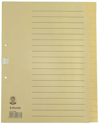 Immagine prodotto di Esselte 621006 Register - blanko, A4, Papier, 20 Blatt, chamois