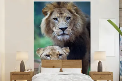 Produktbild von MuchoWow® Fototapete für Wohnzimmer oder Schlafzimmer Wandtapete Vinyl Motivtapete Porträt - Löwe - 170x260 cm - Wohnzimmertapete