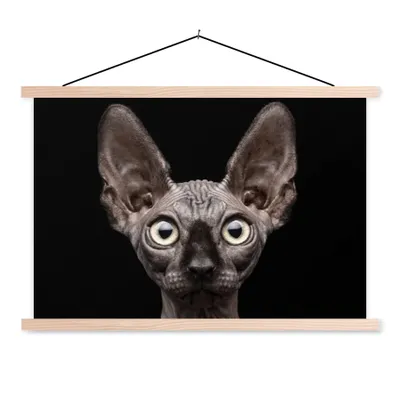 Produktbild von MuchoWow® Textilposter Katze - Haustiere - Porträt - Schwarz 60x40 cm mit holzfarbenen Rahmen - Bilder