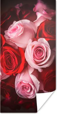 Produktbild von MuchoWow® Poster Nahaufnahme eines Straußes aus rosa und roten Rosen 20x40 cm - Plakat - Foto
