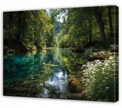 Produktbild von Leinwandbild Wald Bäume Natur - 120x80 cm - Wandbilder Wohnzimmer Schlafzimmer - Leinwand Leinwandbild Grün - SPP16464O20