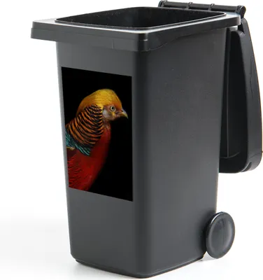 Produktbild von MuchoWow® Mülltonnenaufkleber Vogel - Federn - Schwarz - Porträt 40x60 cm