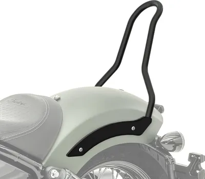 Immagine prodotto di Sissybar per Indian Chief Bobber / Dark Horse 21-25 Solo Rider # MF2
