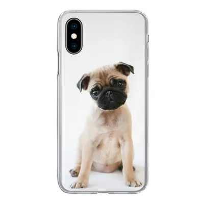 Produktbild von MuchoWow® Handyhülle Schutzhülle Hülle für iPhone X Hund - Haustiere - Porträt Silikon Softcase Handy Hülle - Handyhülle
