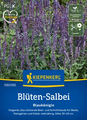 Artikelbild 2 von 'Blüten-Salbei Blaukönigin' aus der Kategorie Salbeisamen