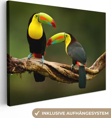 Produktbild von MuchoWow® - Leinwandbilder - Vögel - Tukan - Zweig - Tiere - Regenbogen, Wandbild, Wanddeko Bilder Wohnzimmer, 120x90 cm