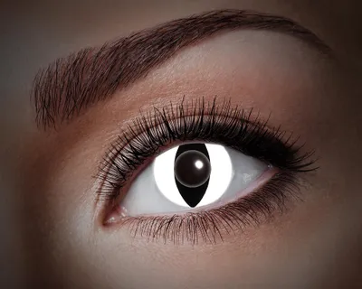 Produktbild von Eyecatcher UV Kontaktlinsen - Flash Black Cat U77 | Farbige 1-Monatslinsen