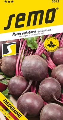 Produktbild von Samen –  ROTE RÜBEN ´REDSHINE´