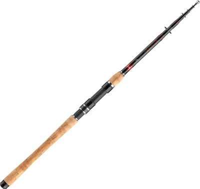 Image de Daiwa Ninja X Tele 3.00m 20-60g Canne à pêche télescopique
