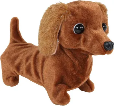 Image de Take Me Home Interactieve Loophond Teckel - 19cm