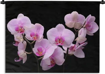 Produktbild von MuchoWow® Wandteppich Wandbehang Orchidee - Blumen - Rosa - Flora 90x67.5 cm Tapisserie Dekoration Wandtuch - Fototeppich - Wand-Skulpturen
