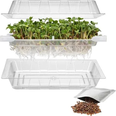Produktbild von Kiempot für Samen - Kiemzylinder - Kiemglaskiemen - Kiembeet für Zierpflanzen