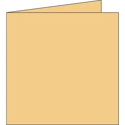 Image de Clairefontaine 2808C Cartes doubles 135 x 135 mm Caramel 210 g