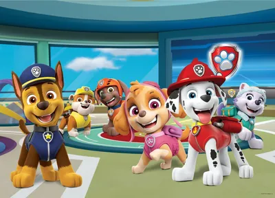 Produktbild von Sanders & Sanders Poster PAW Patrol Blau, Grün und Rot - 600676 - 155 x 110 cm