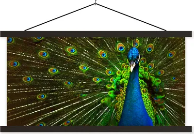 Produktbild von MuchoWow® Textilposter Pfau - Federn - Muster - Blau 90x45 cm mit schwarzem Rahmen - Klemmleisten