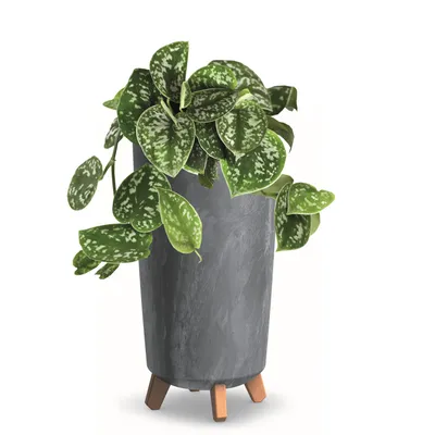 Produktbild von Blumentopf mit Füßen Hoh Pflanzkübe D 20 cm Dunkel Grau Kunststoff Töpfe Beton Optik Übertöpfe Geldbaum Kakteen Gummibaum