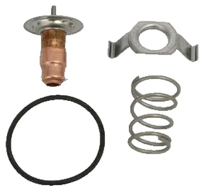 Image de Thermostat Triscan, liquide de refroidissement 8620 13487