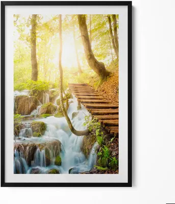 Produktbild von Bach und Treppe im Wald– Wandbild mit Rahmen – Gerahmtes Bild  – Wanddekoration – 70x100 cm –  Schwarz Rahmen