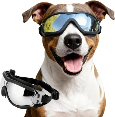 Imagen del producto de Gafas para perros: Impermeables, ajustables y resistentes al viento