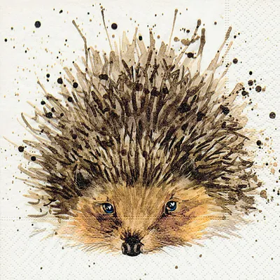 Produktbild von Serviette "Igel" 20 Stück