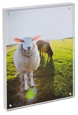 Produktbild von Magnetischer Acrylglasrahmen 15 × 21 cm – 20 mm stark Magnet-Bilderrahmen Fotorahmen Zeigis®
