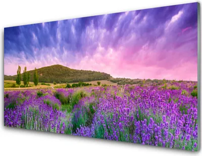 Produktbild von Acrylglasbilder 100x50 Wandbild Druck Wiese Blumen Gebirge Natur